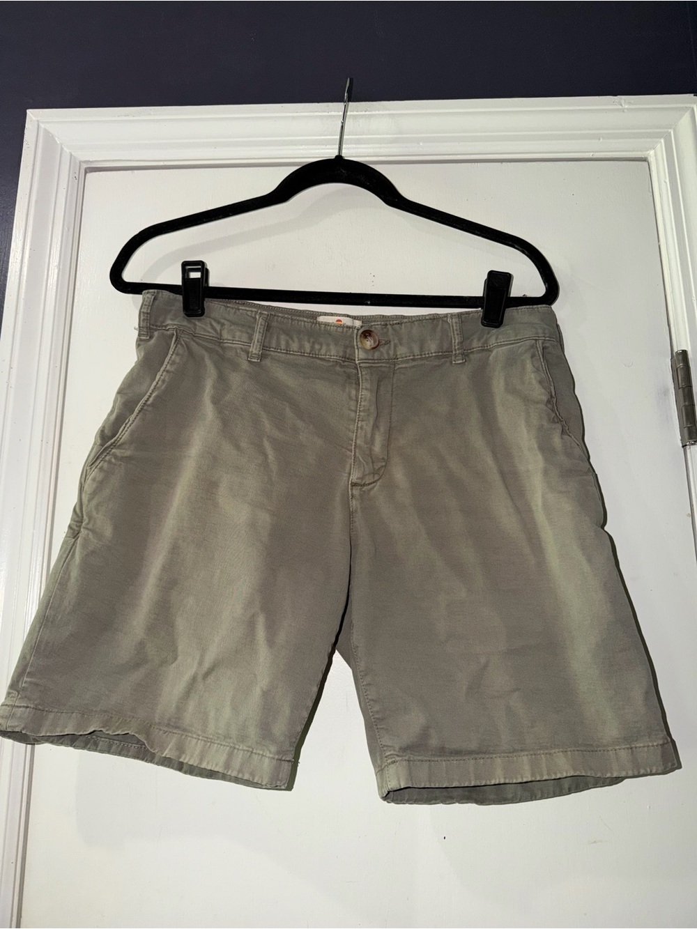 Marine Layer Men's Flat-Front Olive Green Shorts